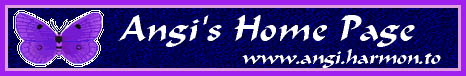 Angi's Home Page