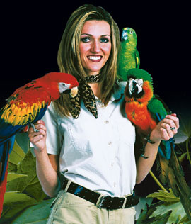 Bird show