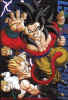 4Saiyan04.jpg (36634 bytes)
