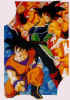 BardockGoku02.jpg (43393 bytes)