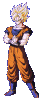 goku11.gif (27024 bytes)