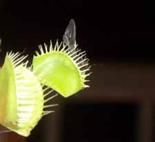 Los "padres" contin&uacute;an a lo suyo