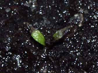 Cada vez m&aacute;s seco