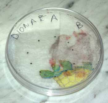 Reci&eacute;n salidas del frigorifico