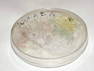 Manteniendo la humedad