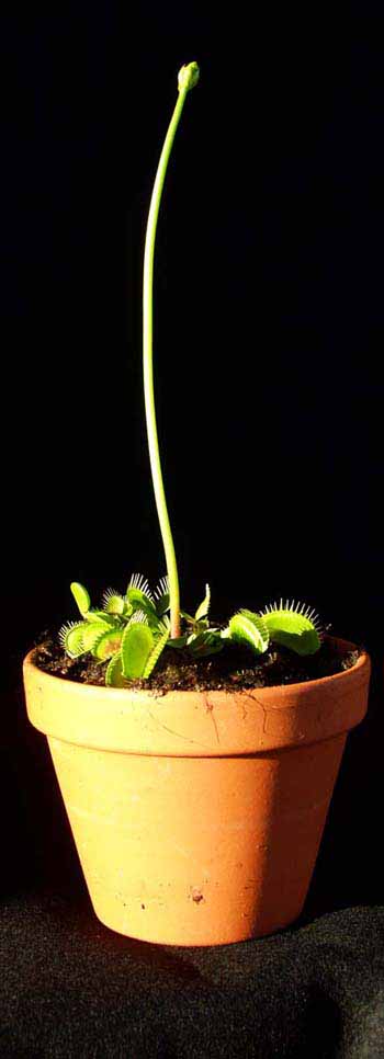 Fotograf�a tomada el d�a : 20/02/2004