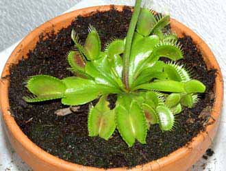 Fotograf&iacute;a tomada el d&iacute;a : 12/02/2004