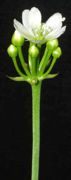 Foto tomada el 29 de Febrero de 2004