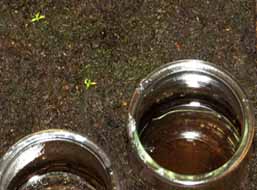 Recipiente interior con agua desmineralizada