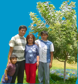 Gracias por sus Oraciones