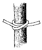 Ballestrinque