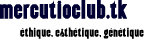 150 par 50 pixels
