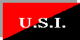 usi.gif (1296 byte)