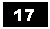 Text Box: 17