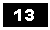 Text Box: 13