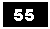 Text Box: 55