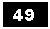 Text Box: 49