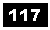 Text Box: 117