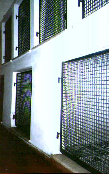 canisp.jpg (43561 bytes)