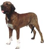 fila.jpg (8430 bytes)