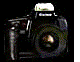 galeria.gif (18630 bytes)