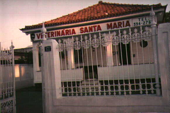 Veterin�ria Santa Maria