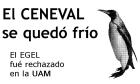 Im�genes de los carteles pegados en la UAM Xochimilco