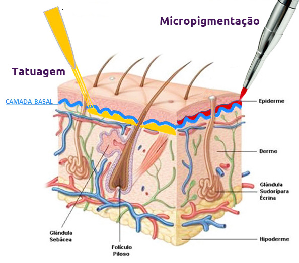 Pigmento