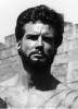 photo Steve Reeves