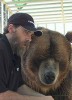 photo Brody the Bear