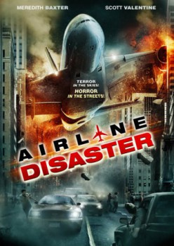 poster Airline Disaster
          (2010)
        