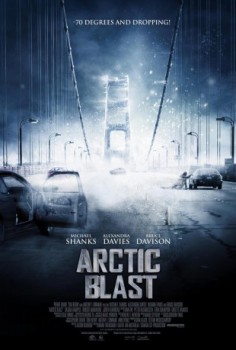 poster Arctic Blast
          (2010)
        