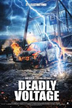 poster Deadly Voltage
          (2016)
        