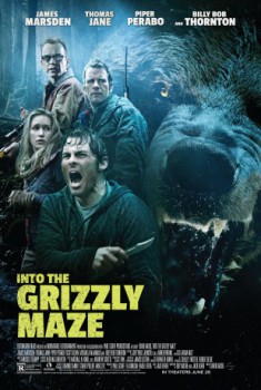 poster Into the Grizzly Maze
          (2015)
        