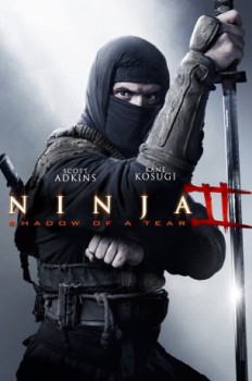 poster Ninja: Shadow of a Tear
        &nbsp;&nbsp;(2013)
        