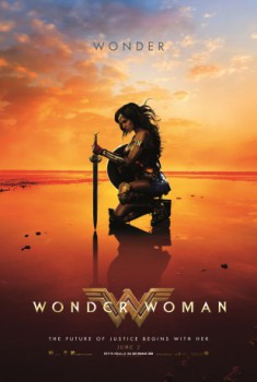 poster Wonder Woman (2017)
          (2017)
        