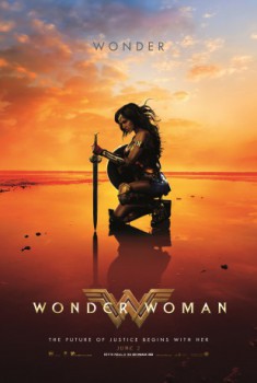 poster Wonder Woman (2017)
        &nbsp;&nbsp;(2017)
        
