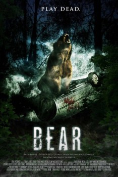 poster Bear