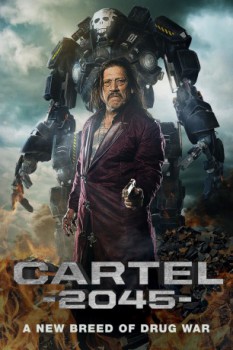 poster Cartel 2045
          (2017)
        