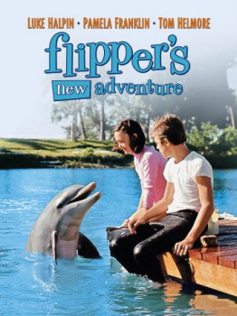 poster Flippers New Adventure