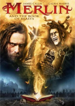 poster Merlin and the Book of Beasts
          (2010)
        