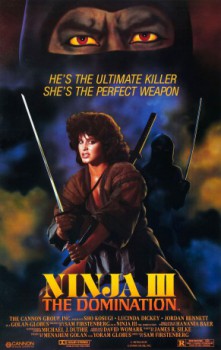 poster Ninja III: The Domination
          (1984)
        