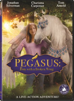 poster Pegasus: Pony with a Broken Wing
        &nbsp;&nbsp;(2019)
        