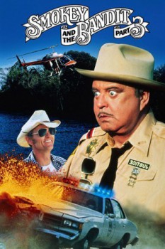 poster Smokey and the Bandit 3
        &nbsp;&nbsp;(1983)
        