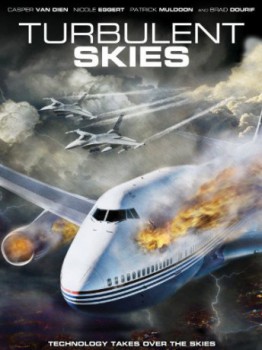 poster Turbulent Skies
        &nbsp;&nbsp;(2010)
        