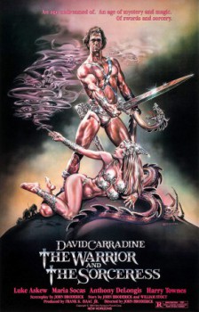 poster The Warrior and the Sorceress
          (1984)
        