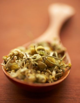 Hierbas aromaticas