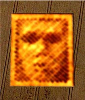 Rosto humano em um crop circle
