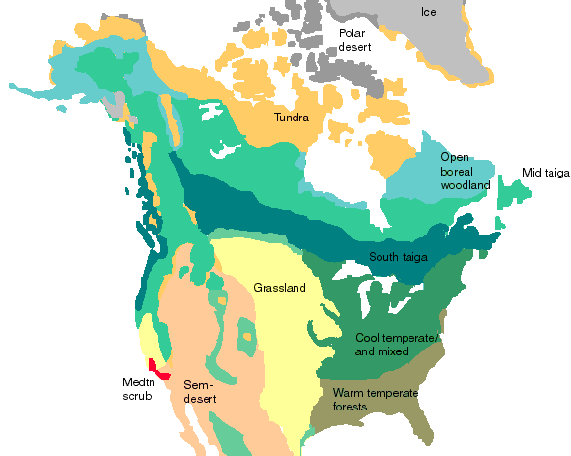 This is the maximum possible extent of various types of vegetation today. Note that this isn't actual coverage, particularly in northern Alaska and around Hudson Bay (most of that is still tundra), and the Midwest (due to agriculture). It does tell where the plants can potentially grow to.