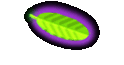 VIDRACEIRO